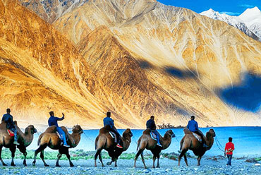 Activities In Ladakh