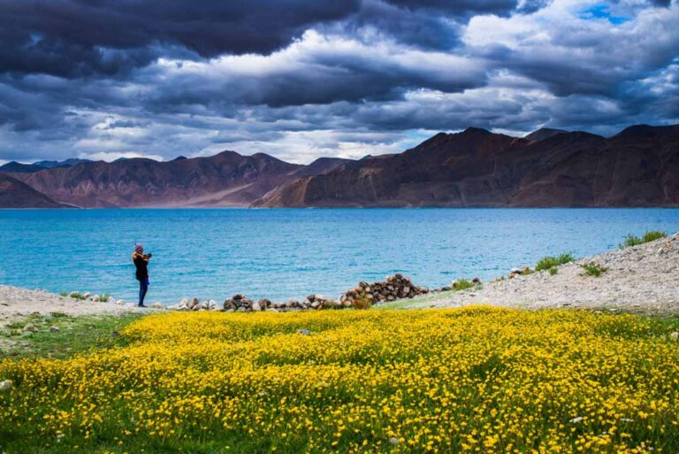 Make my tour ladakh Pangong Lake